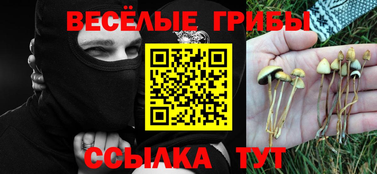 Псилоцибиновые грибы Cubensis  Вход с VPN  Котельники  Псилоцибиновые грибы ЛСД 